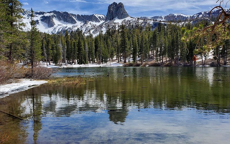 Mammoth Lakes, Red Meadow, June Lake & Tioga Pass